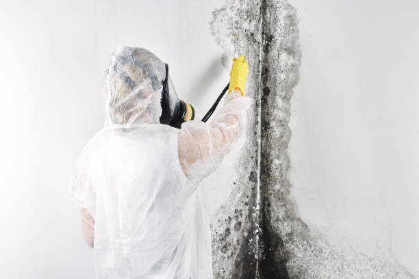 Best Water damage restoration specialists  in Glasgow, OR